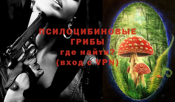 mix Горняк